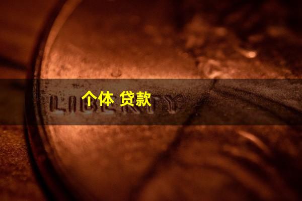 个体 贷款